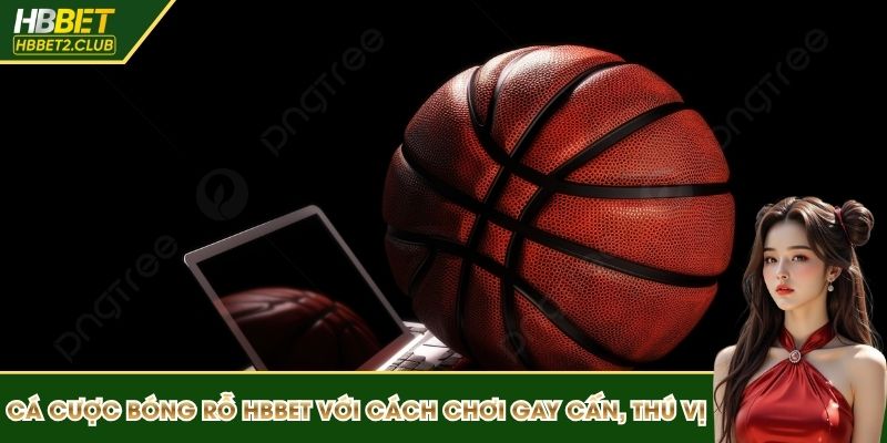 Cá cược bóng rỗ HBBET
