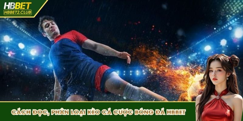 Cách đọc, phân loại kèo trong cá cược bóng đá HBBET
